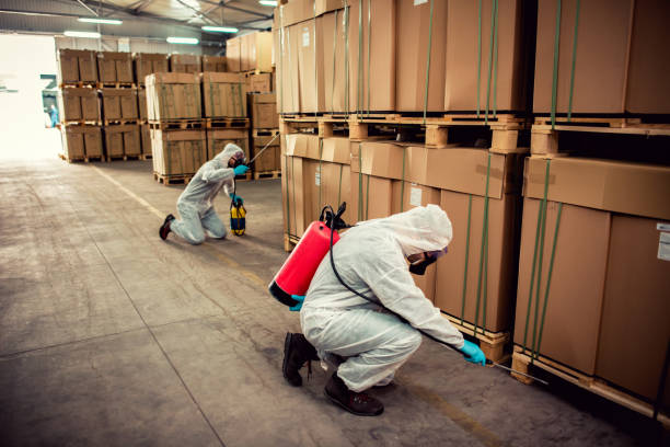 Best Local Pest Control Services  in Wilburton, OK