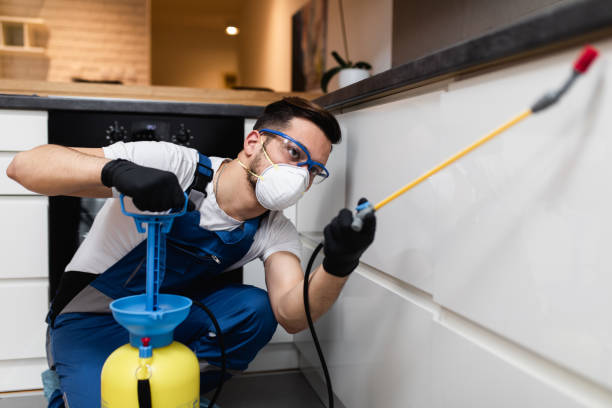 Best Insect Control  in Wilburton, OK