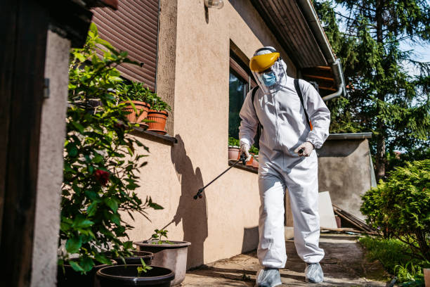 Best Rat Extermination Near Me  in Wilburton, OK