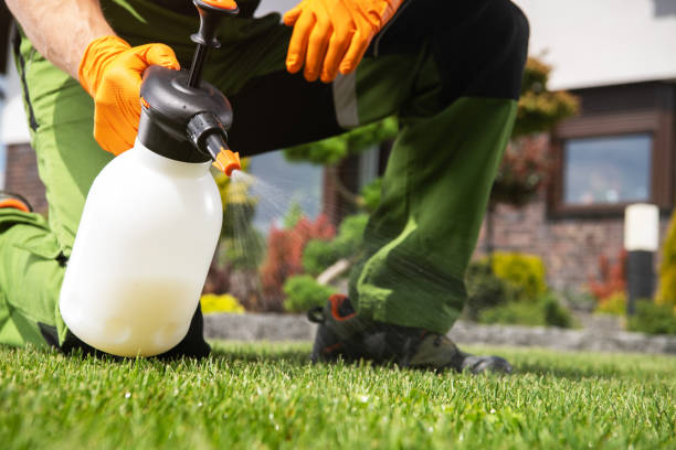 Professional Pest Control in Wilburton, OK