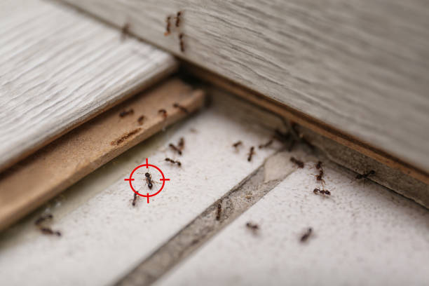 Best Pest Control for Businesses  in Wilburton, OK