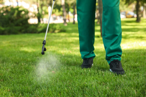 Best Ant Control Services  in Wilburton, OK