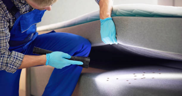 Best Best Pest Control Companies  in Wilburton, OK