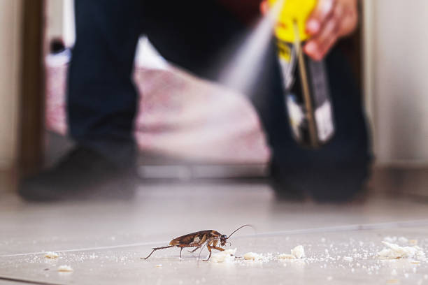 Best Mosquito Control Services  in Wilburton, OK