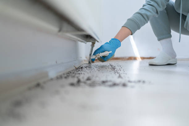 Best Rat Extermination Near Me  in Wilburton, OK
